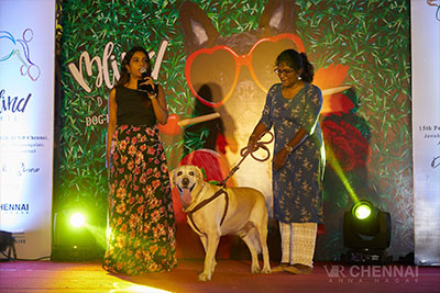Blind Date for Dogs - 15th Feb, 2020