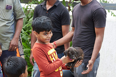 Adoptathon - November 17, 2019