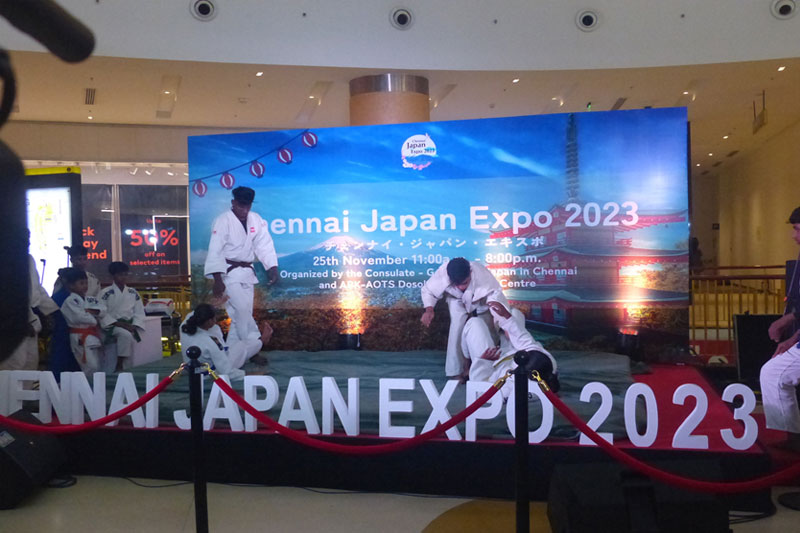 Japanese Expo - 25th Nov 2023