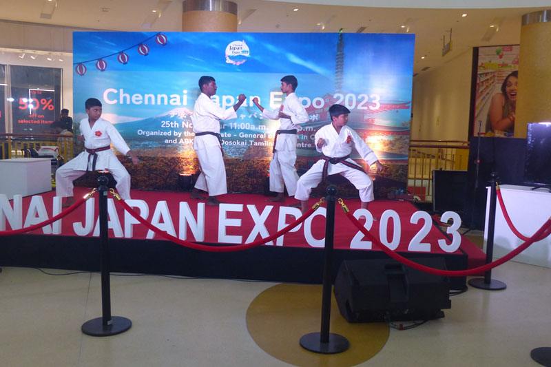 Japanese Expo - 25th Nov 2023