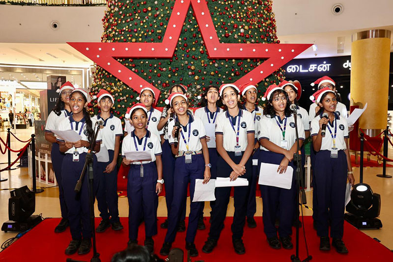 Sparkle and Cheer: Kicking Off the Holidays! TREE LIGHTING CEREMONY - 21st November 2025