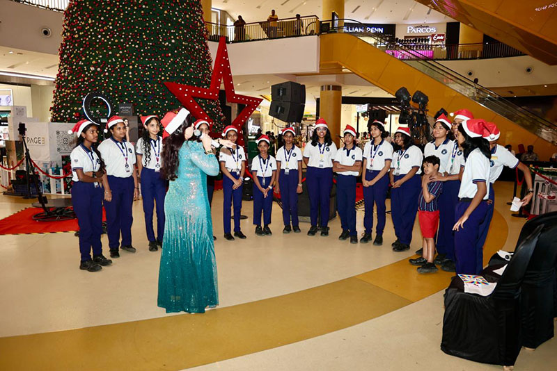 Sparkle and Cheer: Kicking Off the Holidays! TREE LIGHTING CEREMONY - 21st November 2025
