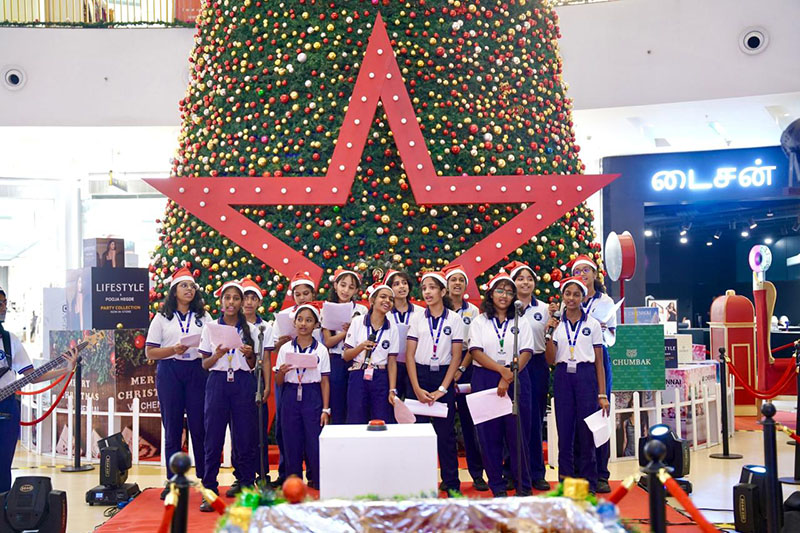 Sparkle and Cheer: Kicking Off the Holidays! TREE LIGHTING CEREMONY - 21st November 2025