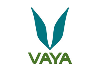 Vaya 